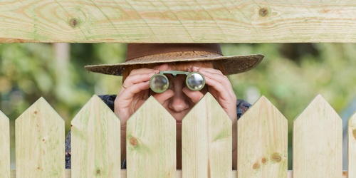 6 måder at tiltrække nysgerrige naboer - eller hvordan du dækker vinduet til fra naboerne