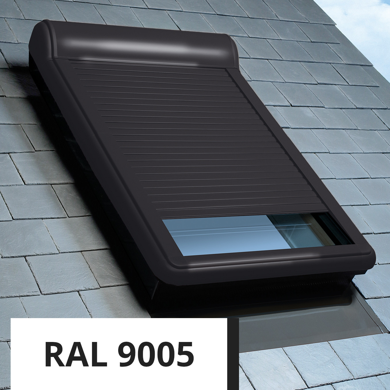RAL 9005