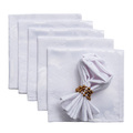Set napkins 6 pcs 42 x 42 Damasco 613-00