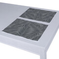 Set of 2 Placemats