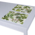 Set of 2 Placemats