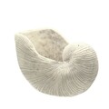 Doniczka Shellfish