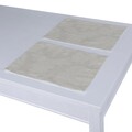 Set of 2 Placemats